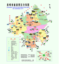 亚游国际
